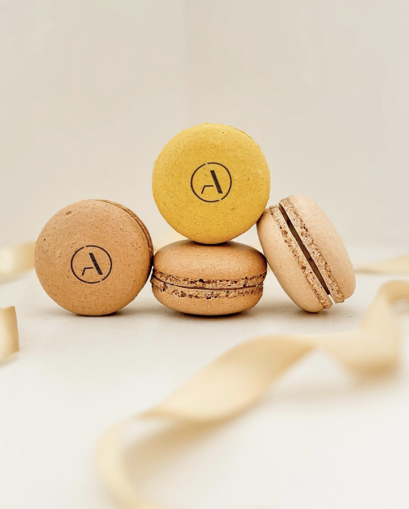 White tulips - image 4 out of 5